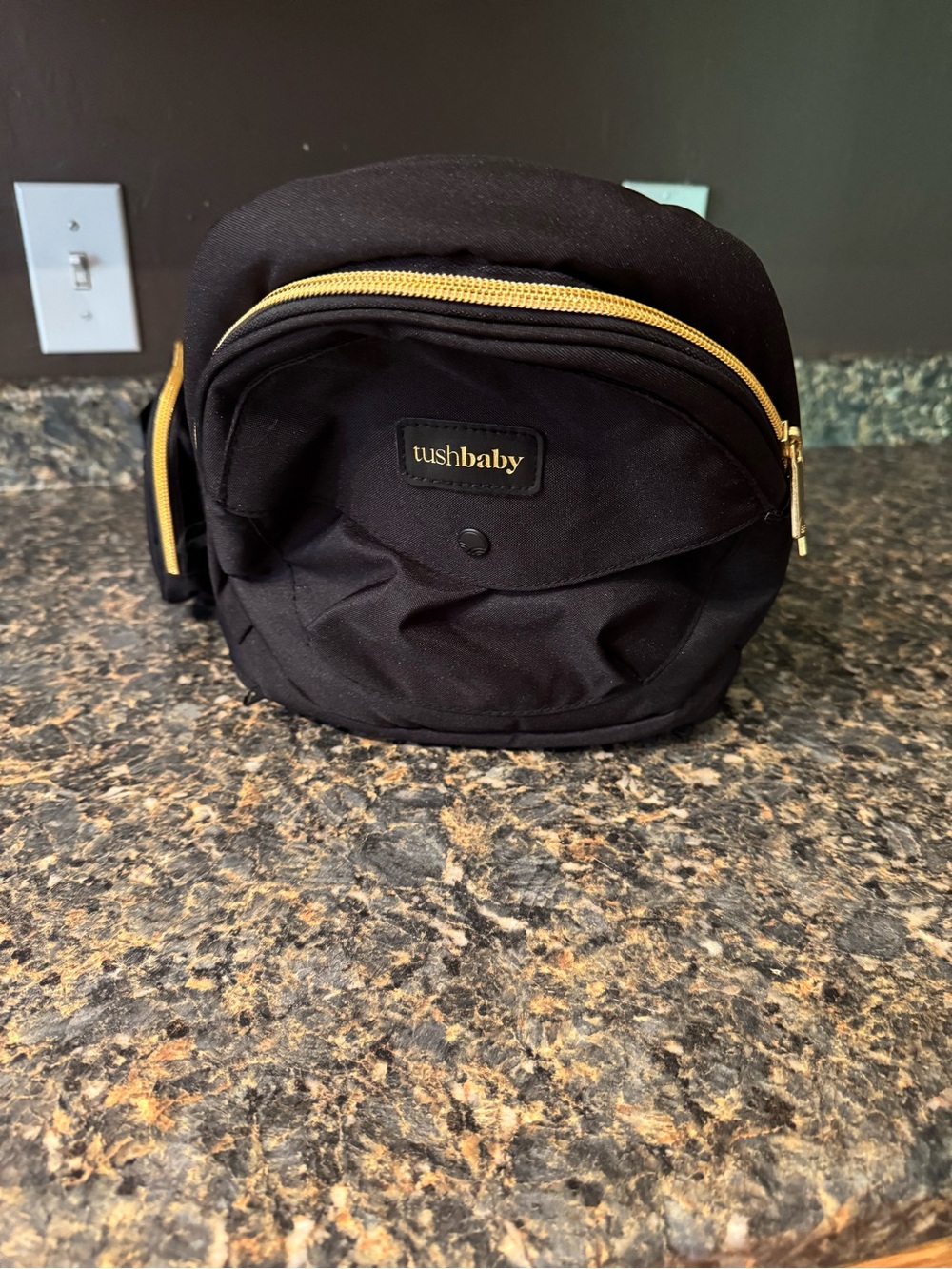 Tushbaby hip seat